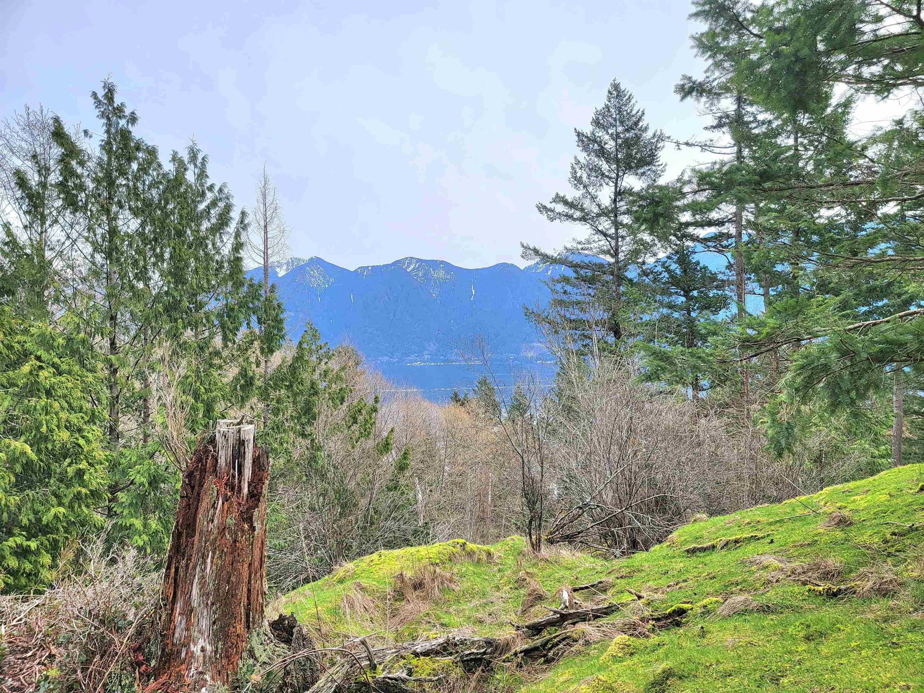 1562 EAGLECLIFF, Bowen Island, British Columbia, ,Land Only,For Sale,R2859709