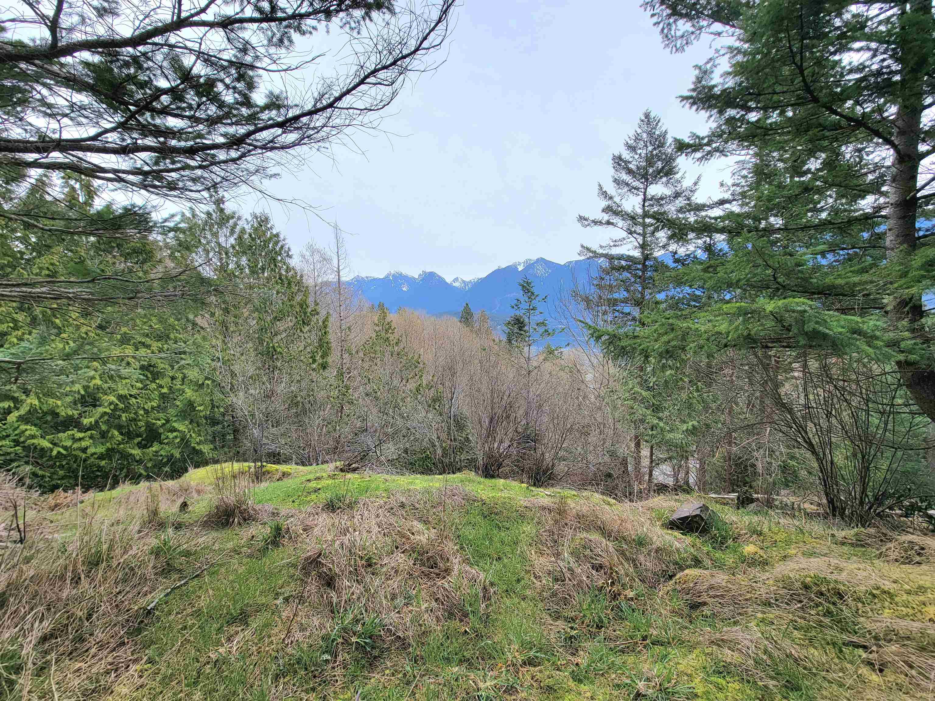 1562 EAGLECLIFF, Bowen Island, British Columbia, ,Land Only,For Sale,R2859709