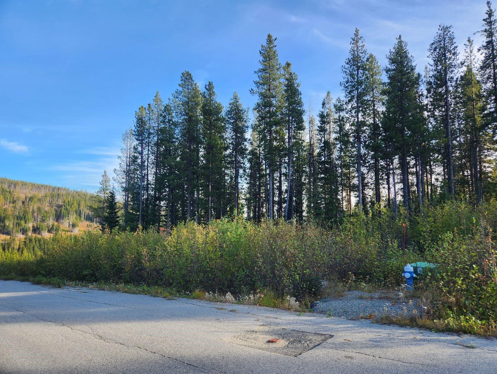LT.21 BUCK, No City Value, British Columbia, ,Land Only,For Sale,R2874808