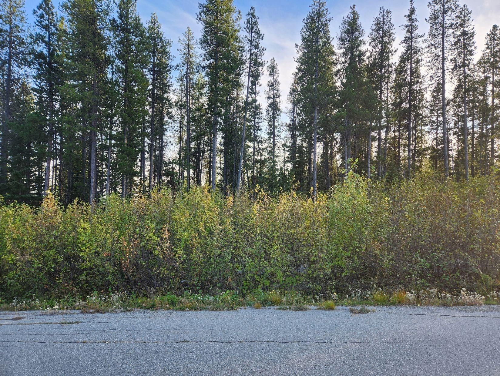 LT.21 BUCK, No City Value, British Columbia, ,Land Only,For Sale,R2874808