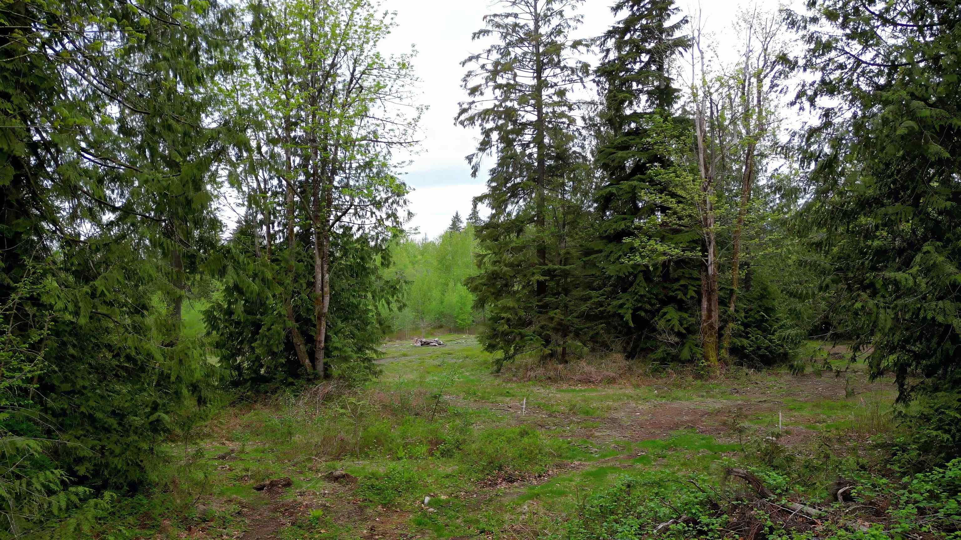 10535 287, Maple Ridge, British Columbia, ,Land Only,For Sale,R2879960