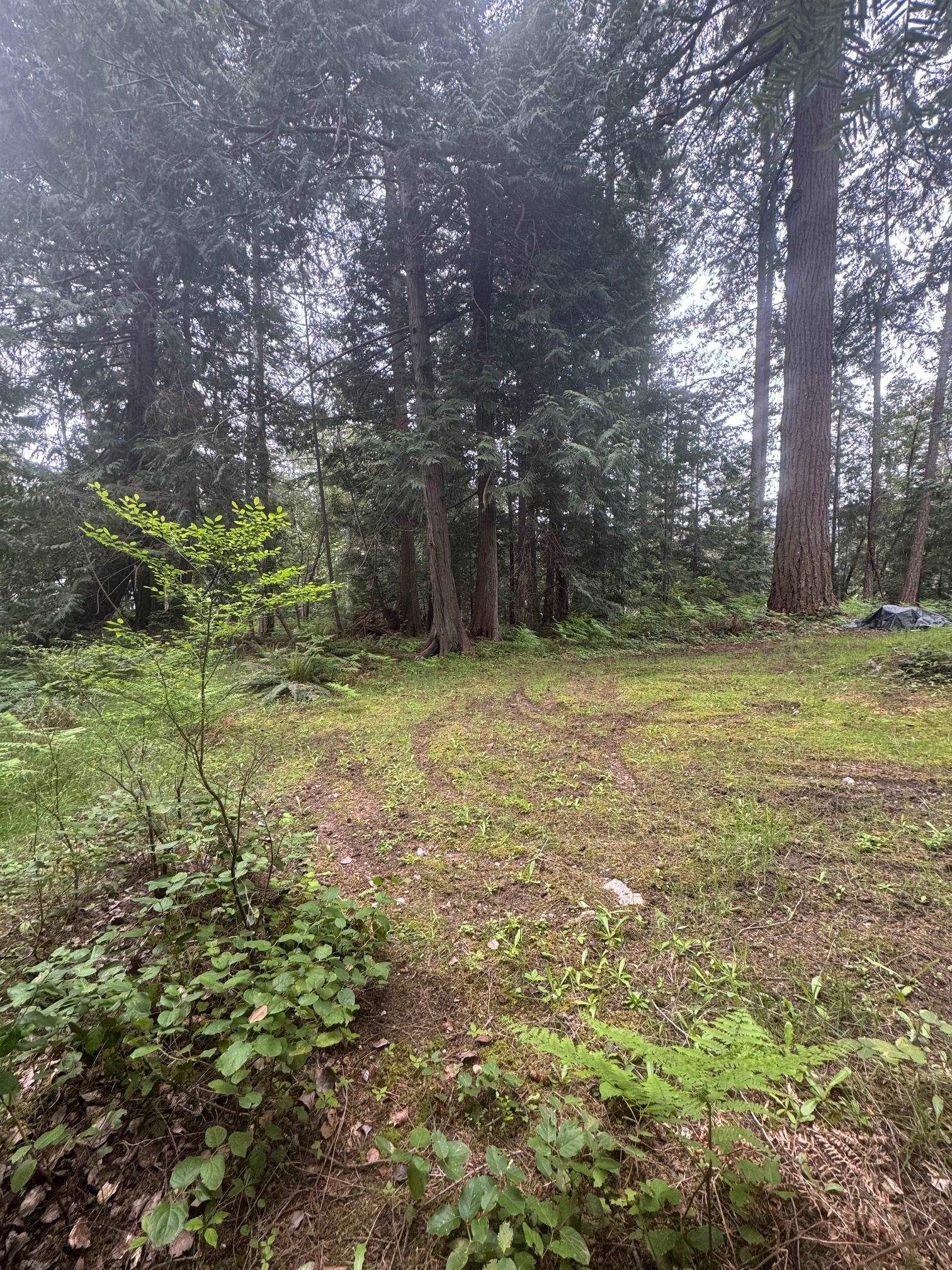 LOT 72 CORACLE, Sechelt, British Columbia, ,Land Only,For Sale,R2879995