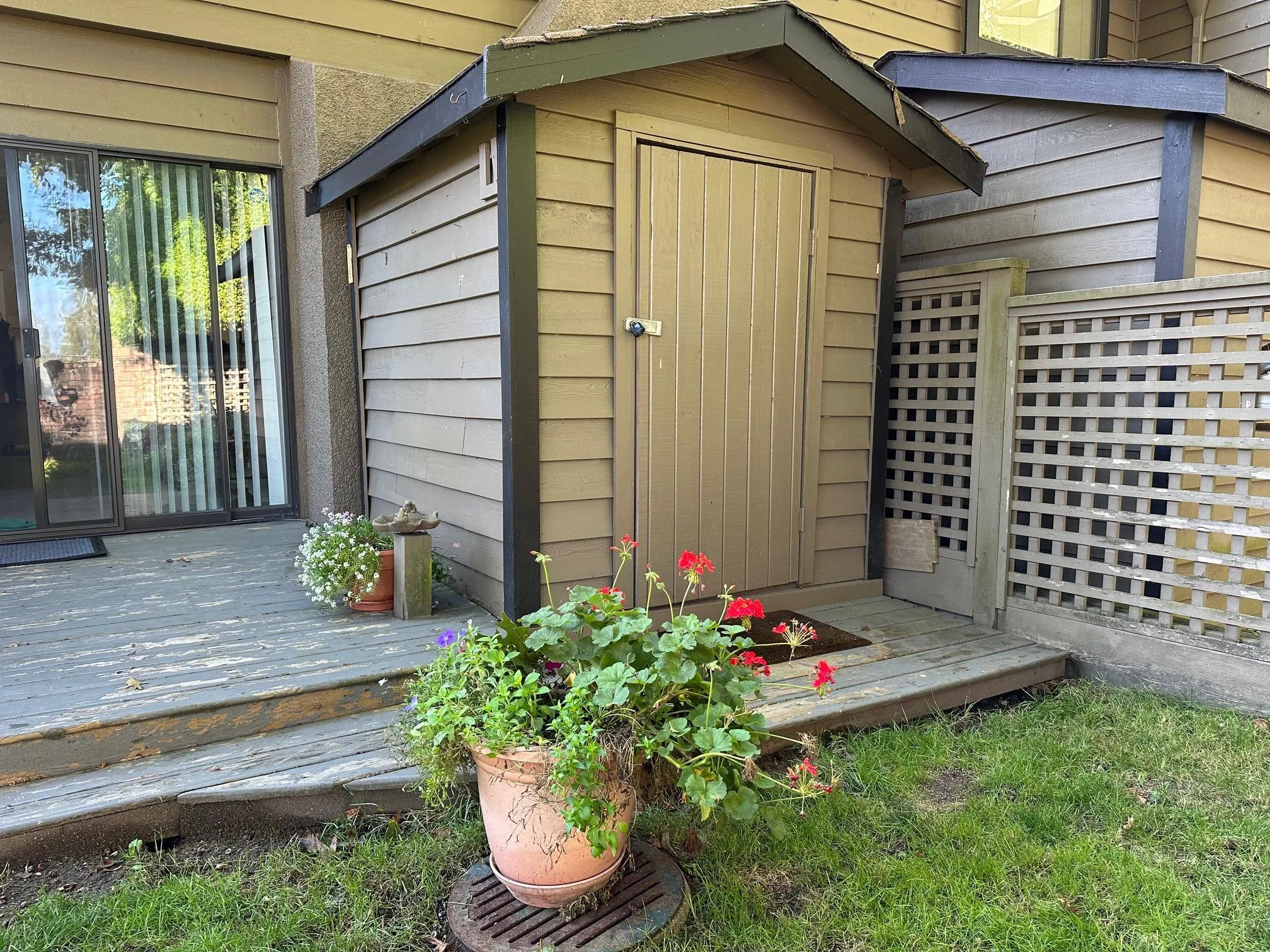 The backyard also has a shed which is currently used as a workshop.