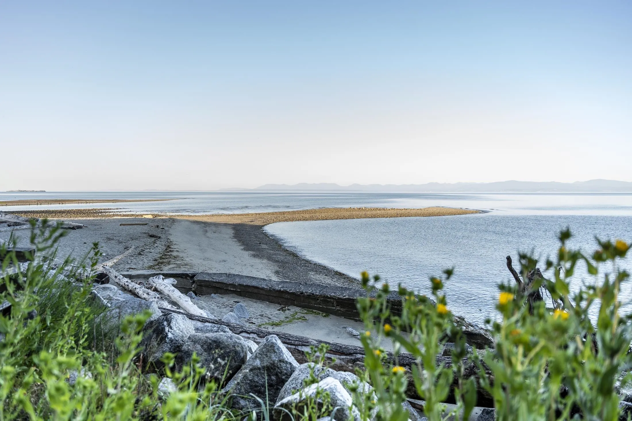 Davis Bay Beach