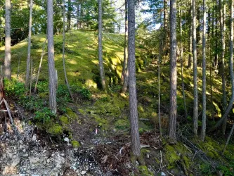 Natural bluffscape ecosystems shine through in the adjacent undisturbed forested and protected park land.