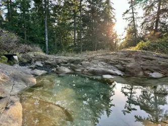 Natural granite bedrock meets old growth forest reflected in crystal clear pools. A landscaping masterpiece that must been seen in person to be fully appreciated.