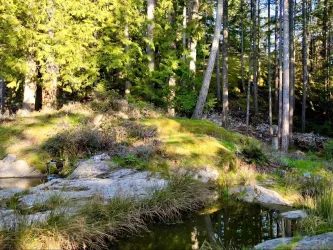 A series of two ponds dot the granite bluffs of 831 windjammer and provide an idyllic connection to the natural surroundings.